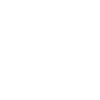 logo FFT